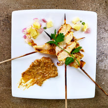Load image into Gallery viewer, Thai Chicken Satay and Fresh Vietnamese Spring Rolls with Spicy Peanut Sauce
